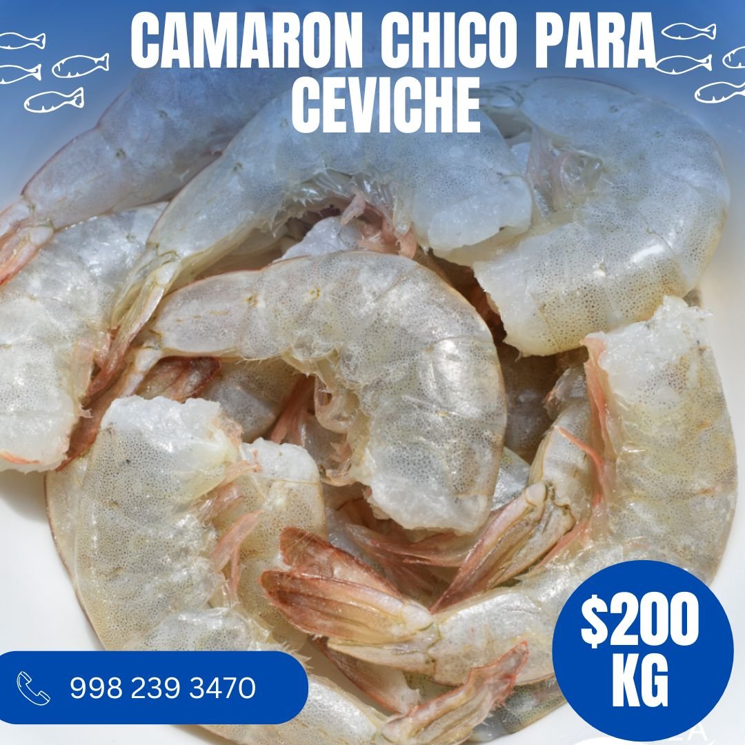 Camarón Chico