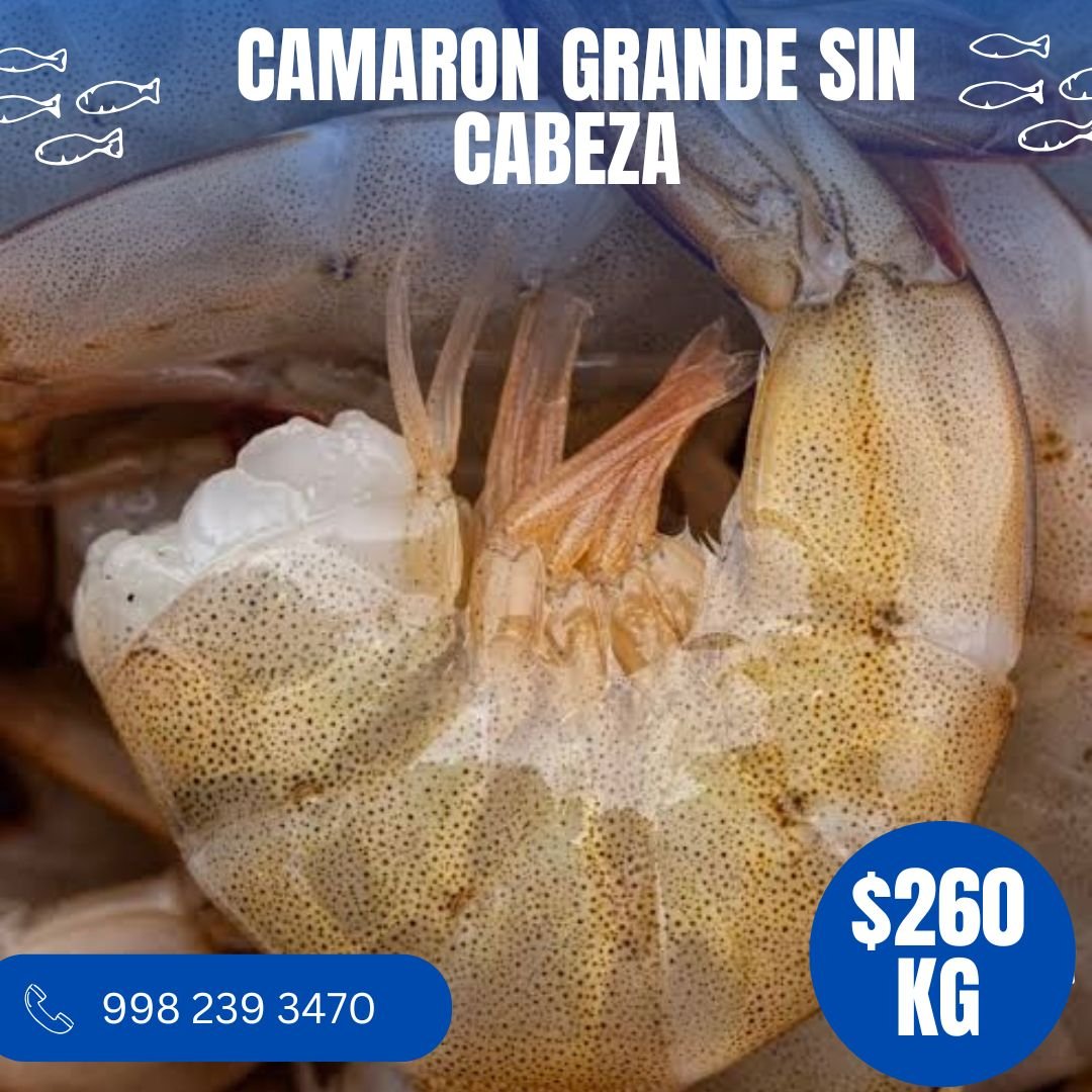 Camarón Grande sin Cabeza