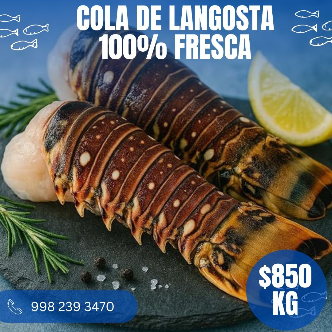 Langosta fresca