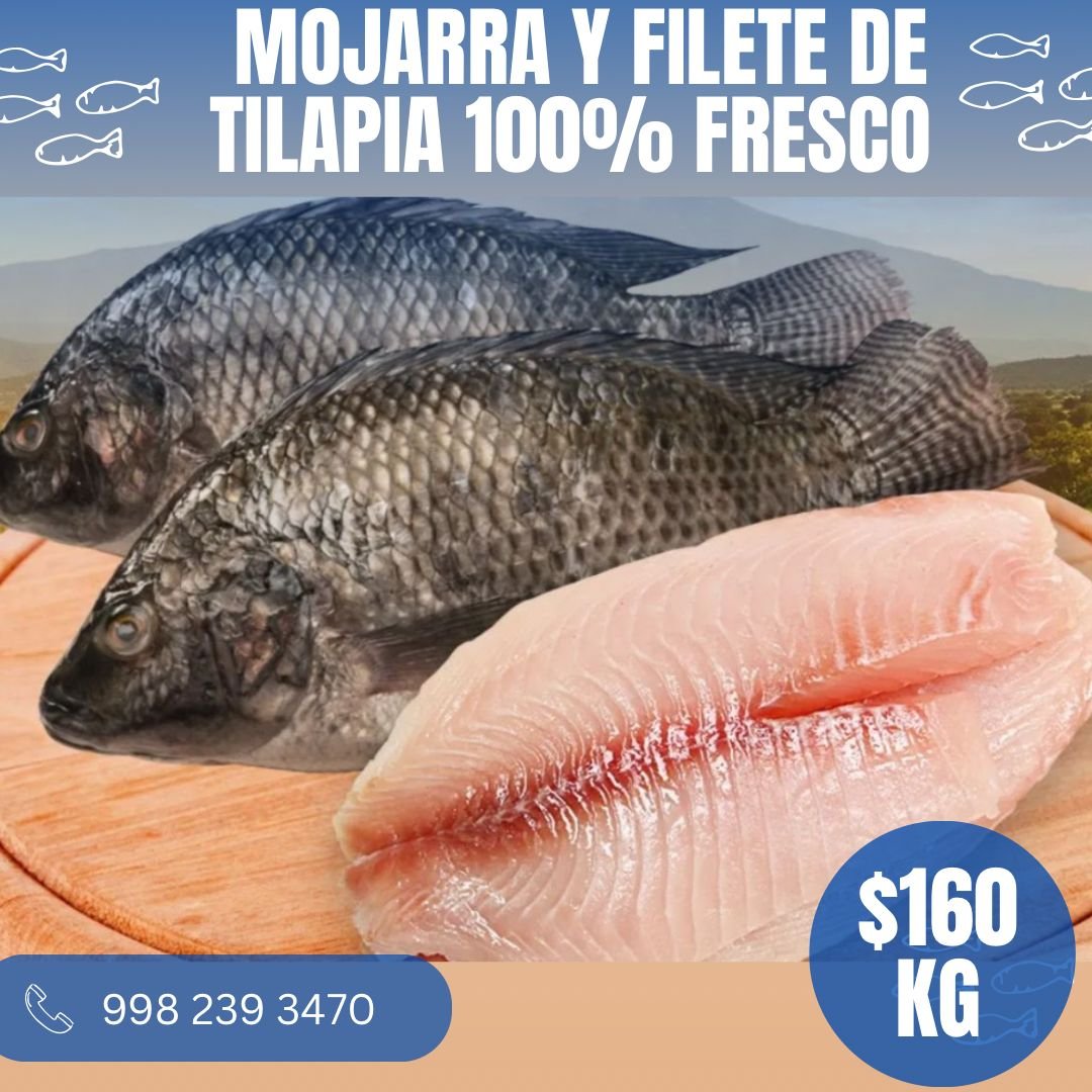 Tilapia
